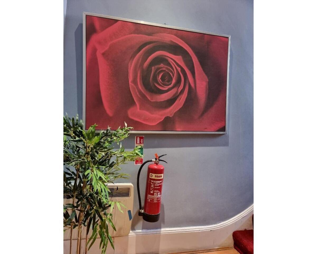 Fb4-Spacious Basement Studio Near Hyde Park Лондон Екстериор снимка